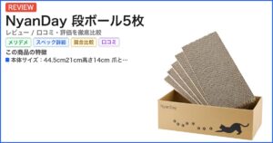 NyanDay 段ボール5枚 レビュー